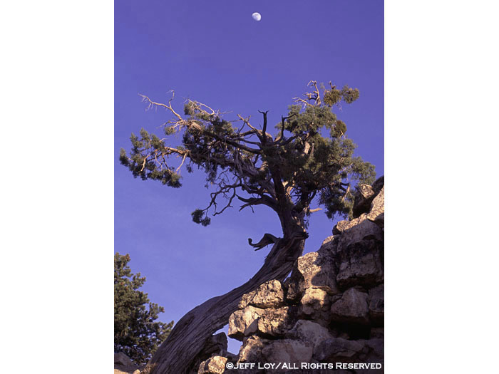 Moonrise at the South Rim of the Grand Canyon.